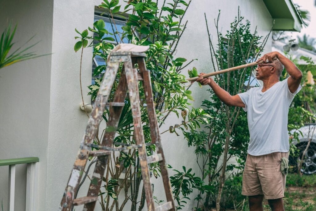 Professional Painters in Neutral Bay