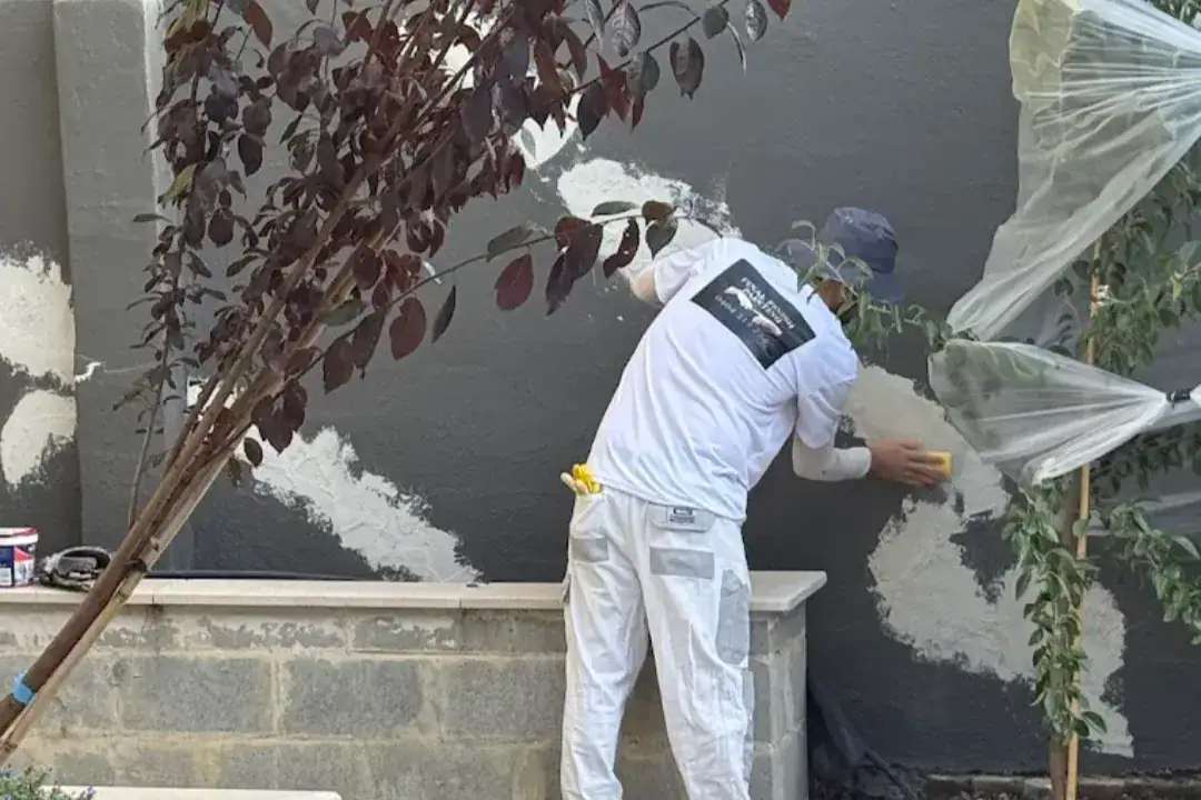 Painters Northern Beaches